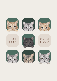 CATS - American Shorthair - FOREST GREEN