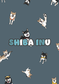 shibainu3 - dark steel blue