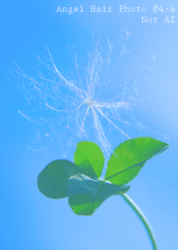 Angel Hair Photo#4-9Not AI