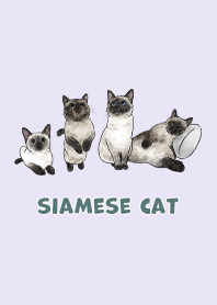 siamesecats3 - light purple