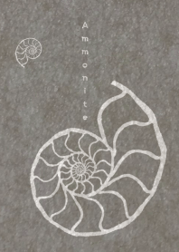 Ammonite spiral