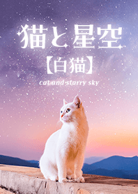 white cat and starry sky