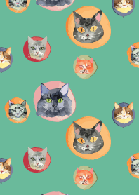 holiday cat on blue green