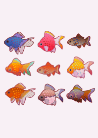小さな金魚たち
