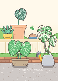 觀葉植物 1