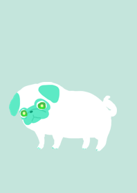green pug