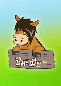 Year of the Horse.