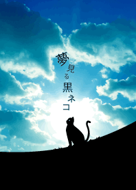 夢見る黒猫