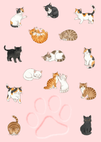 Cute cat illustrations.13