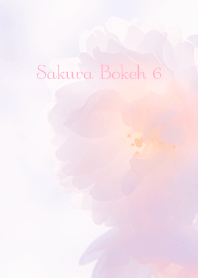 Sakura Bokeh 6