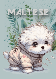 Baby Maltese in a depressed mood4