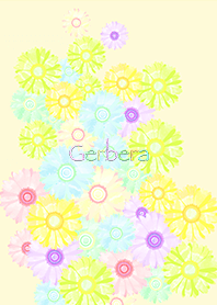 거베라의 꽃