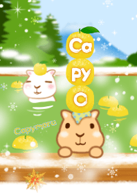 capybara in hot spring(Citron)