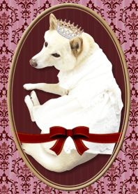 "SHIBAINU" PRINCESS