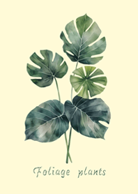 優雅觀葉植物(淡黃色)