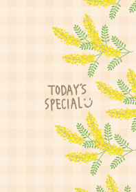 Mimosa Vertical20 from Japan