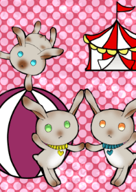 Circus rabbit trplets