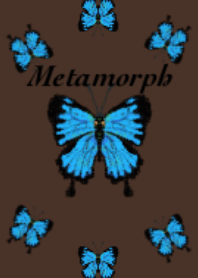 Metamorph