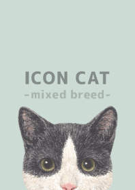 ICON CAT -Mixed breed cat- PASTEL GR/09