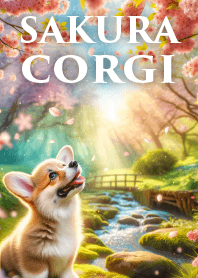 sakura corgi