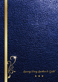 Luxury Navy Leather & Gold*