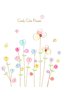 Candy color flowers 4
