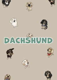 dachshund6 / tan