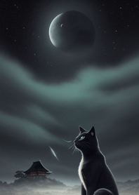 แมวใต้แสงจันทร์ fyYKq