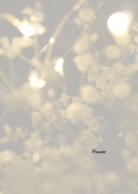Flower Theme ver.Japan 35