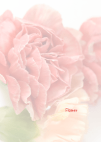 Flower Theme 51