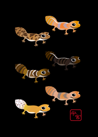 我養的可愛守宮(護眼黑色)