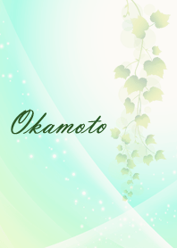 No.199 Okamoto Lucky Beautiful green