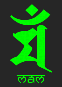 BONJI [maM] BLACK GREEN (0138