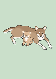 狗 柴犬_綠色