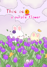 This is a purple flower