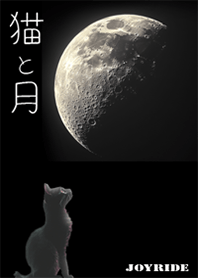 Cat and moon_1