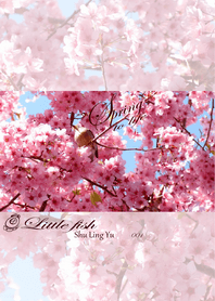 * Spring to Life *