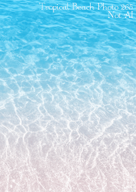 Tropical Beach Photo 265 Not AI