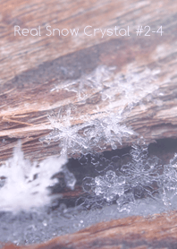Real Snow Crystal #2-4