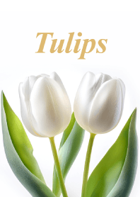 "Tulips vol.13" theme