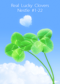 Real Lucky Clovers Nestle #...