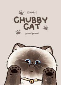 Chubby Cat : Siamese