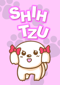 シーズー