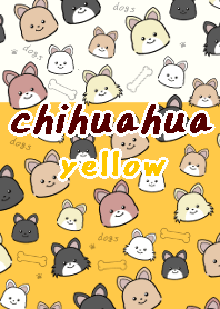 chihuahua theme11yellow