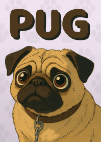 Pop and Cute Pug Theme Purple 03