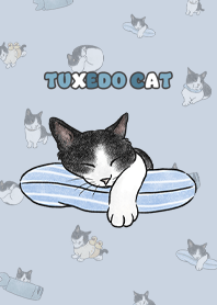 tuxedocat4 - light slate blue