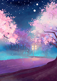 Beautiful night cherry blossoms#1251