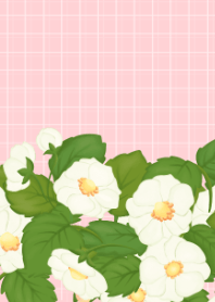 ดอกสตรอว์เบอร์รี่น่ารักและเรียบง่าย