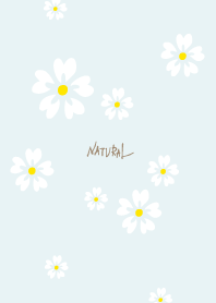 5 white petals25 from Japan