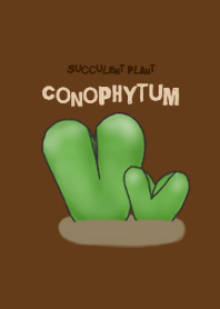 Succulent plant Conophytum Theme